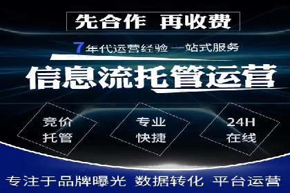 某品牌SEM广告策略揭秘——代运营公司的智慧